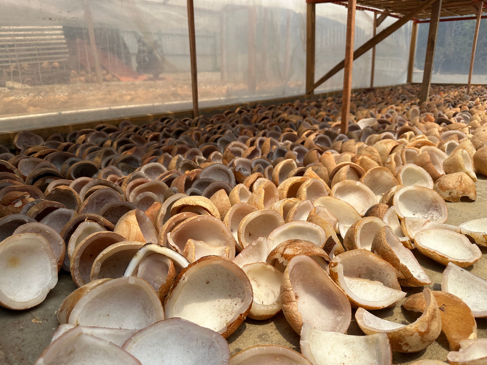 White Copra