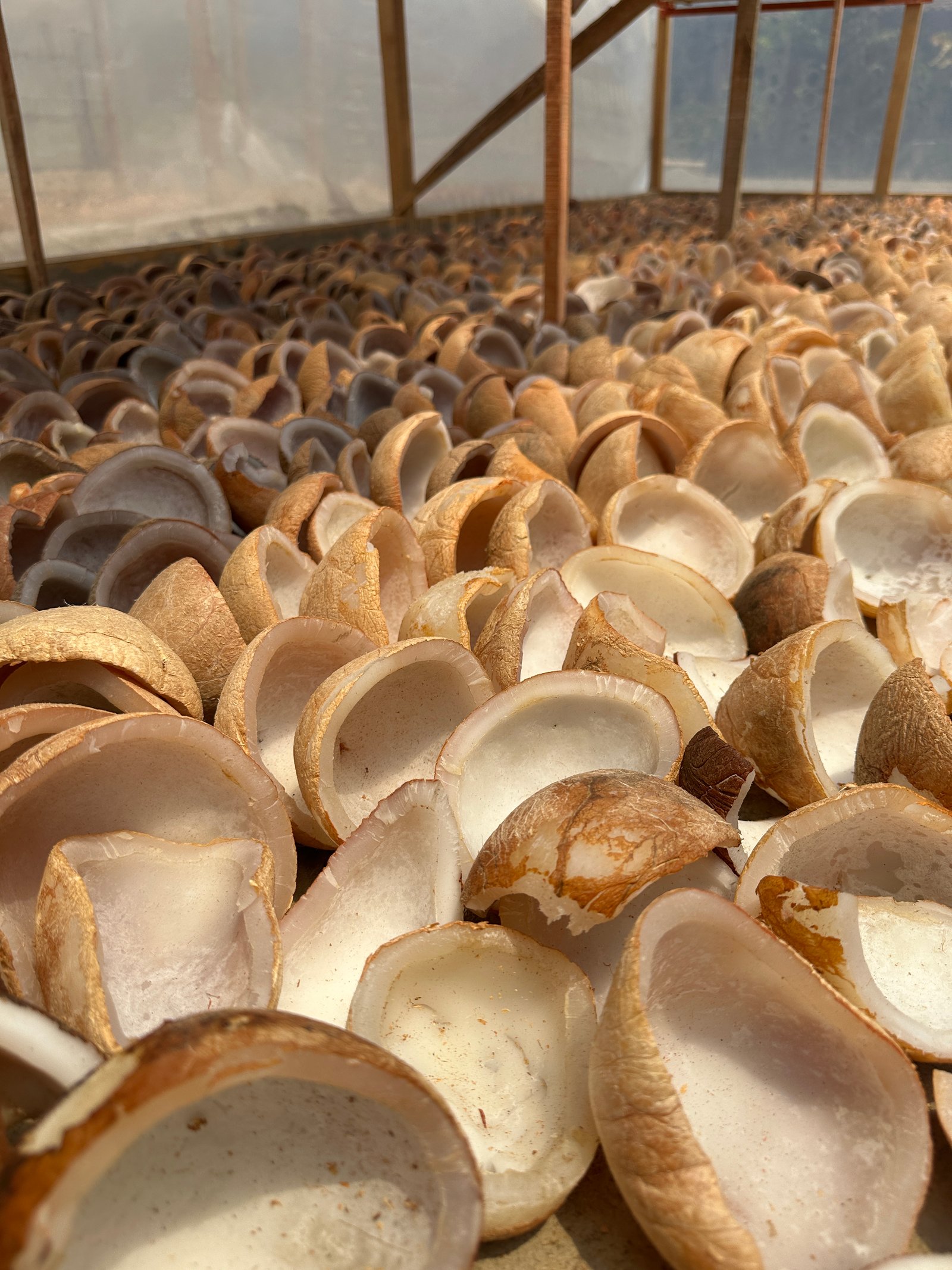 White Copra